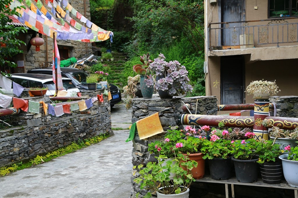 L_JY0538.JPG