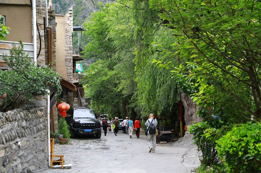 L_JY0540.JPG