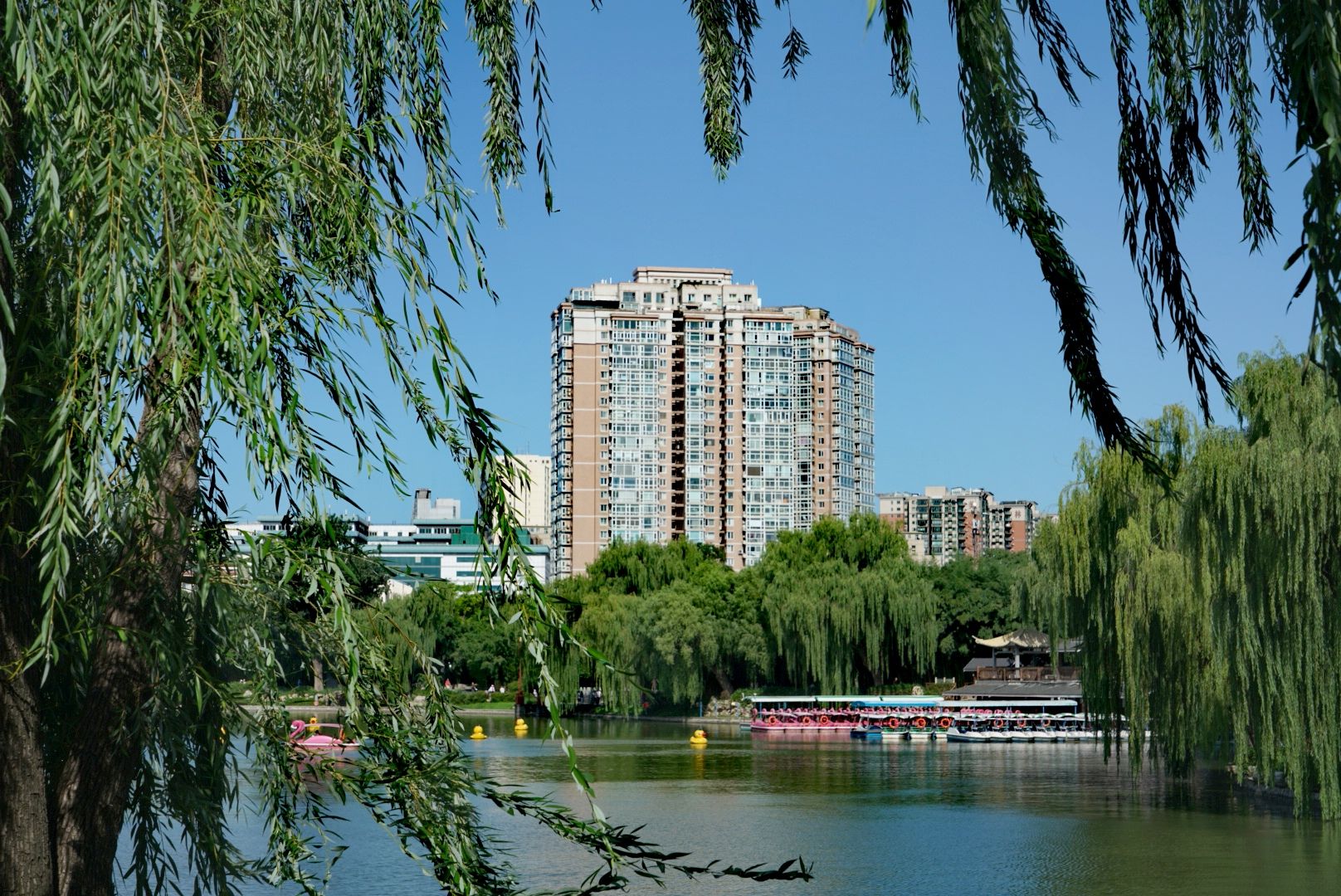 20260705143455front2_0_7414607_Fs7lsksIy6dPia1DGkMC_kou3f5c.jpg