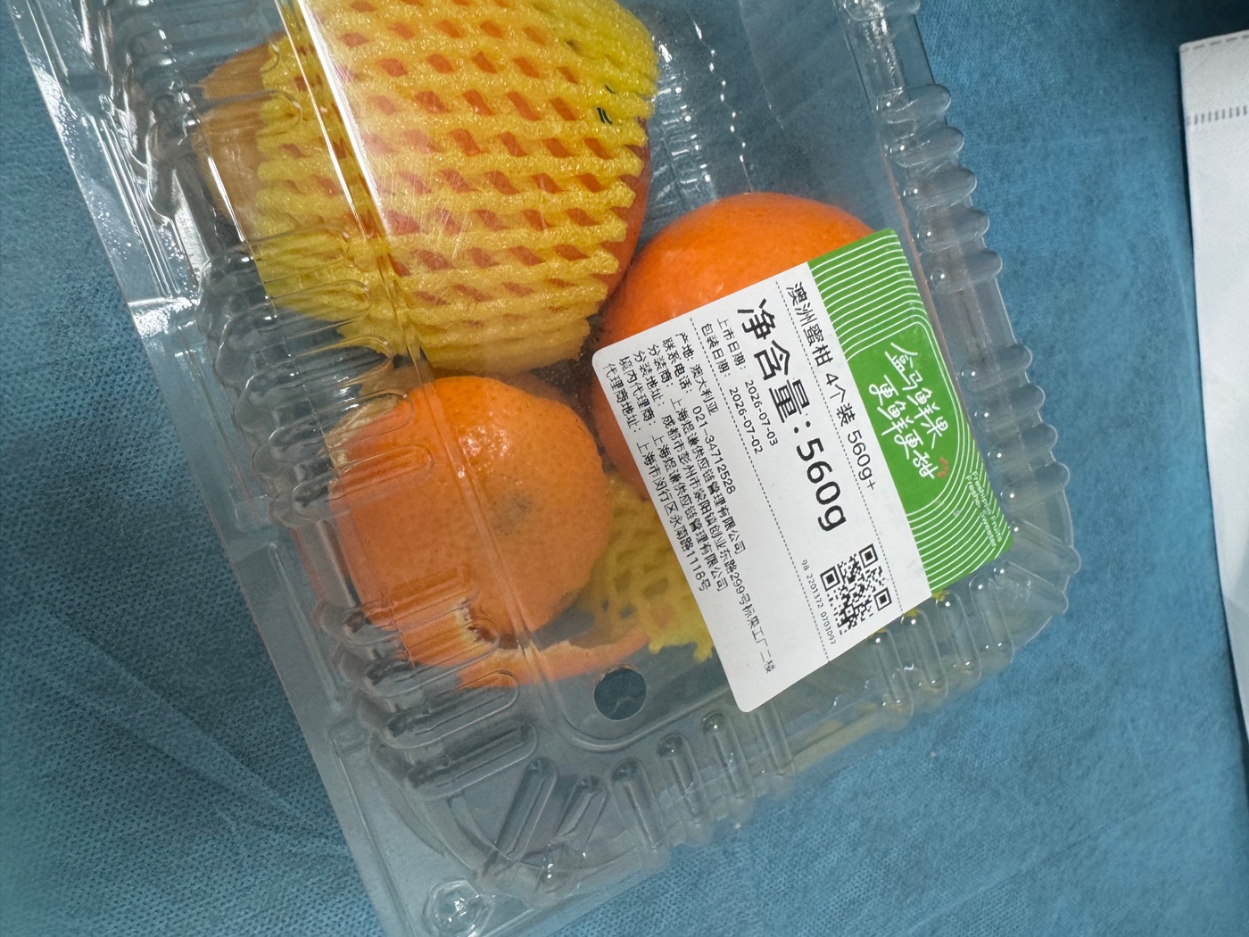 ��������ָ�