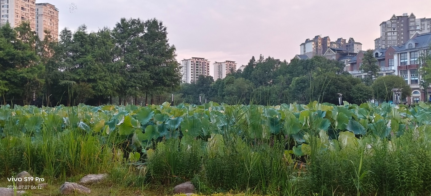 ΢��ͼƬ_20260707072556.jpg