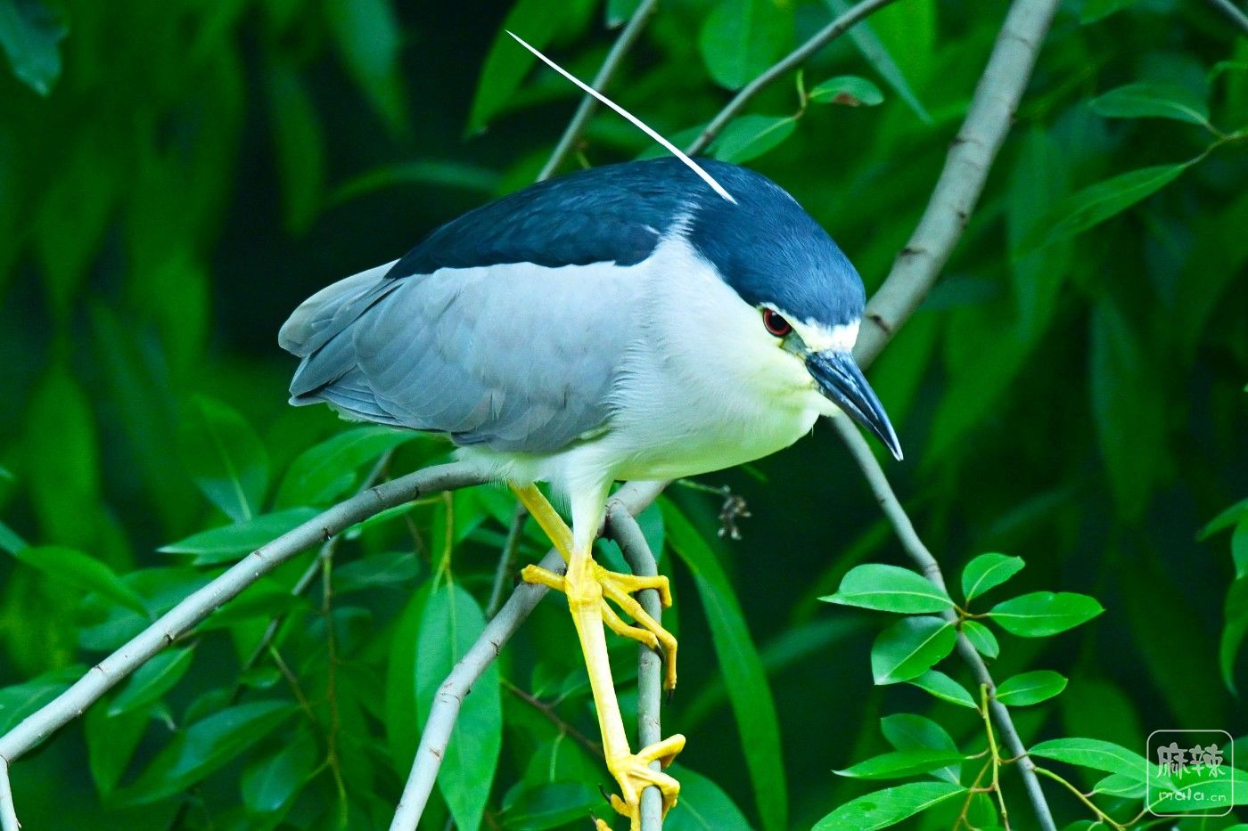 DSC_9139.JPG