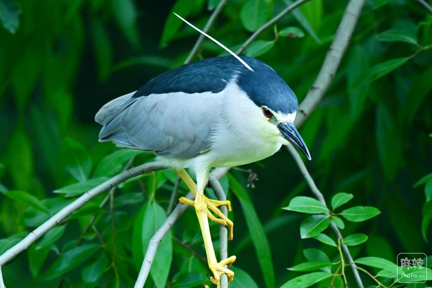 DSC_9143.JPG