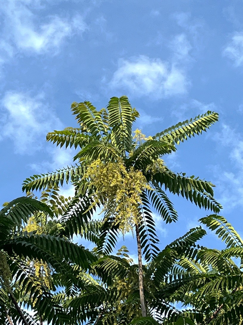 ΢��ͼƬ_20260627092555_101_151.jpg