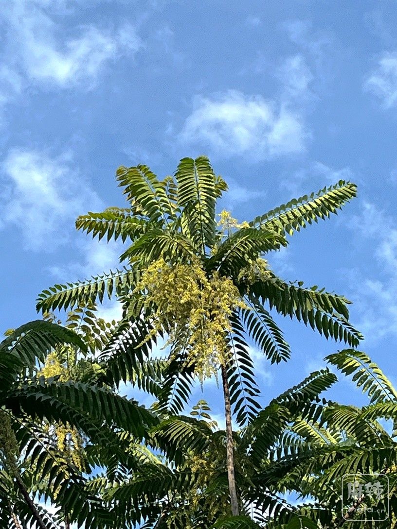 ΢��ͼƬ_20260627092555_101_151.jpg