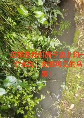 IMG_3194.jpeg