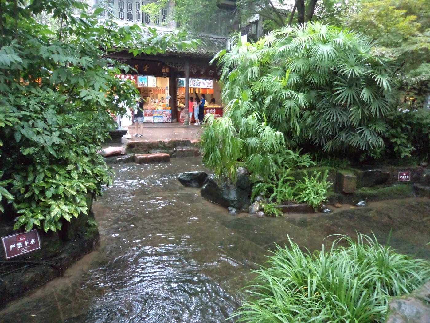 DSC09903.JPG