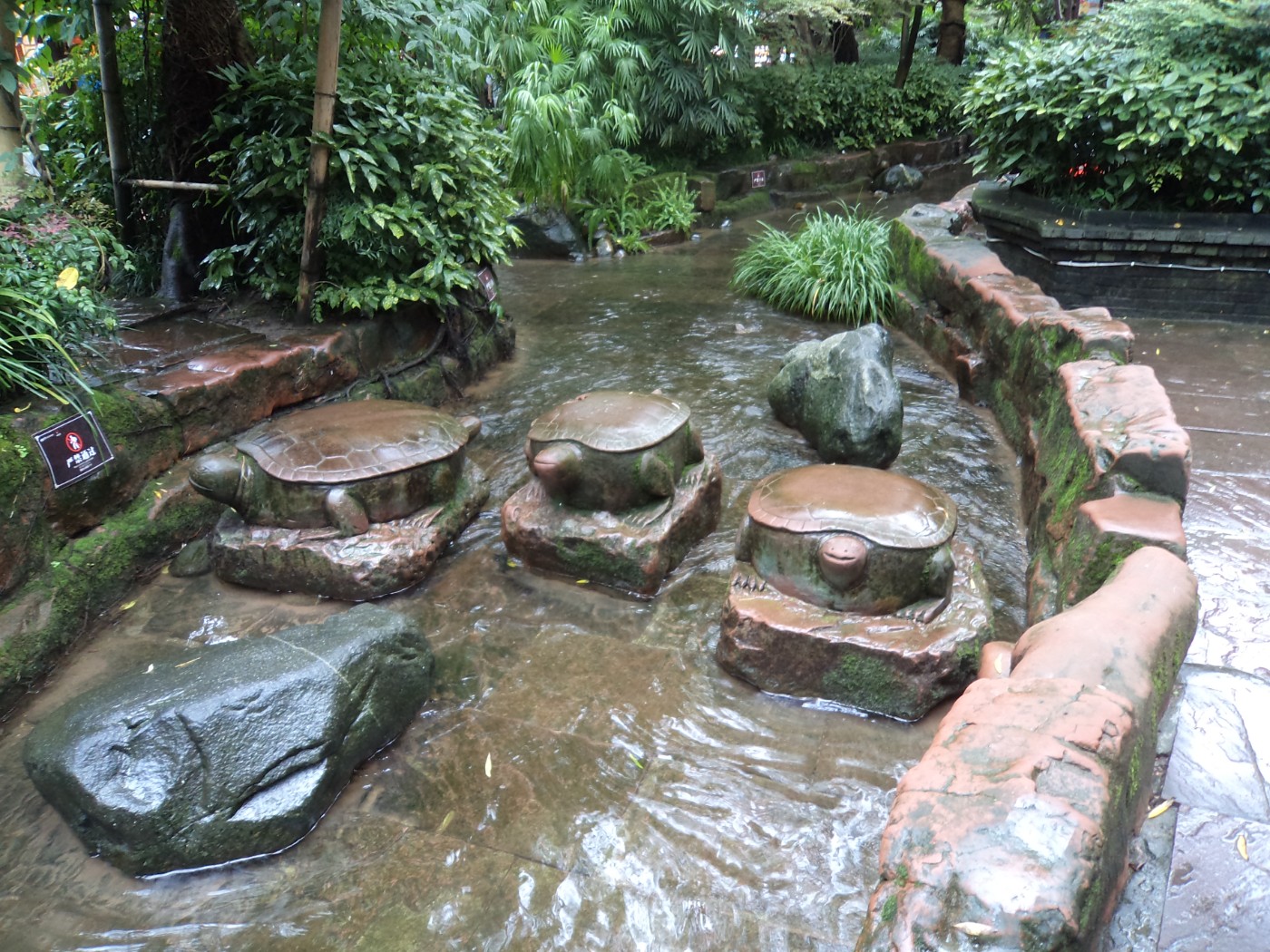 DSC09902.JPG