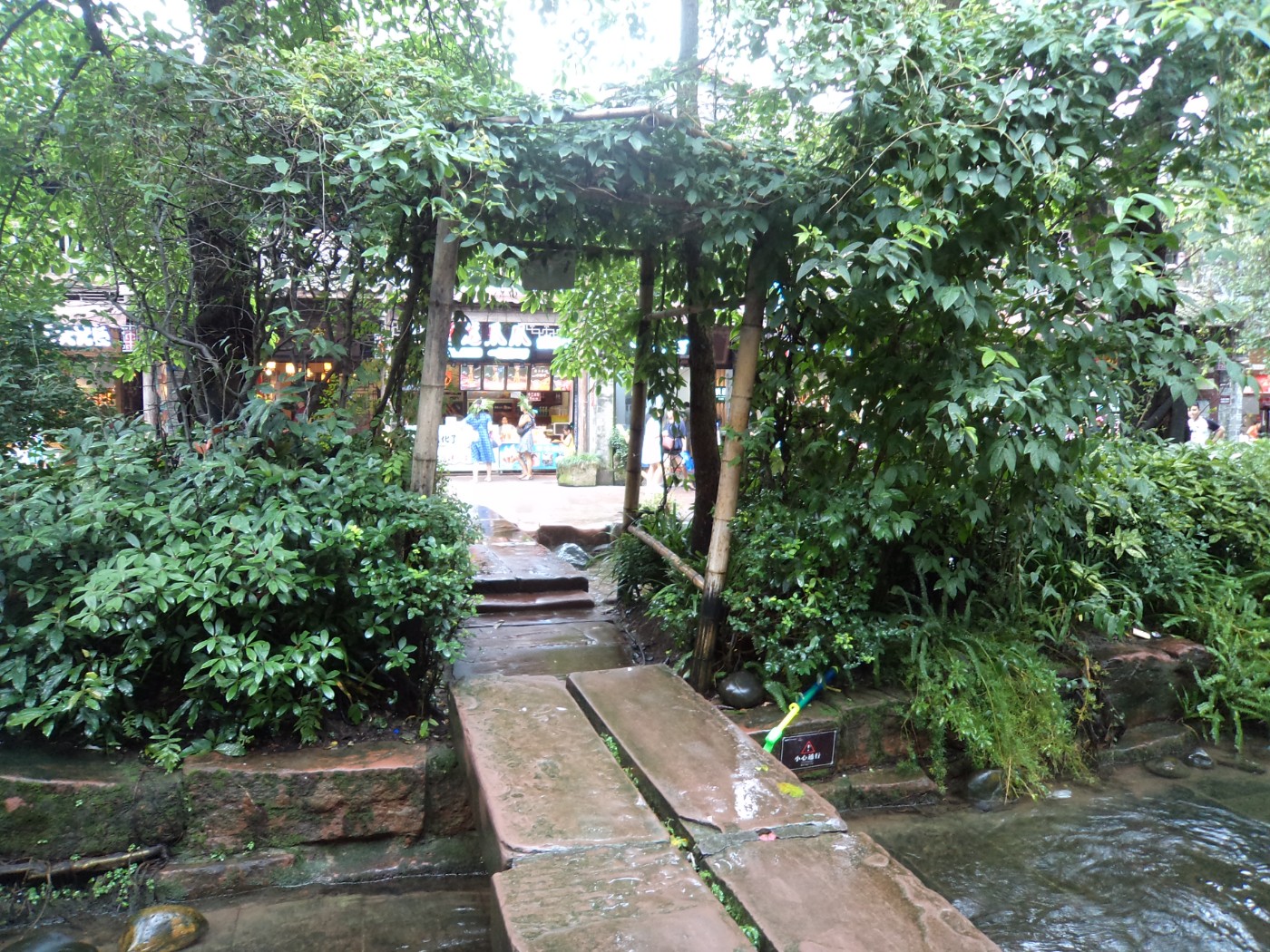 DSC09899.JPG