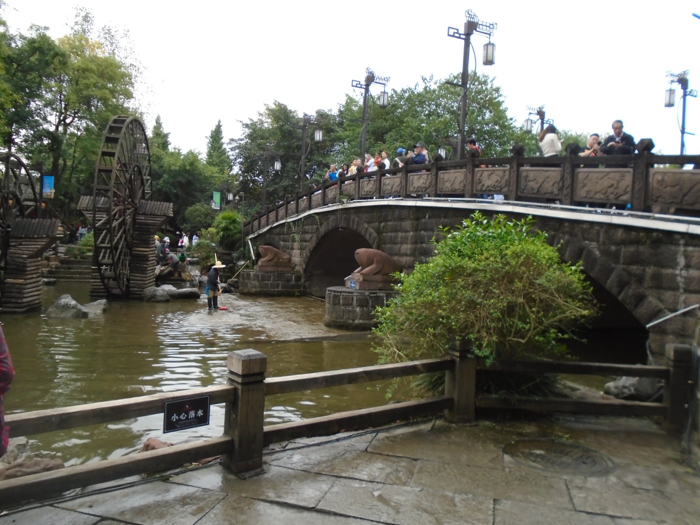 DSC06878.JPG