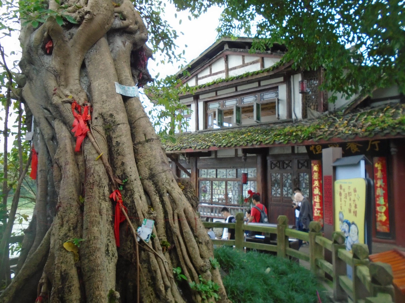 DSC06815.JPG
