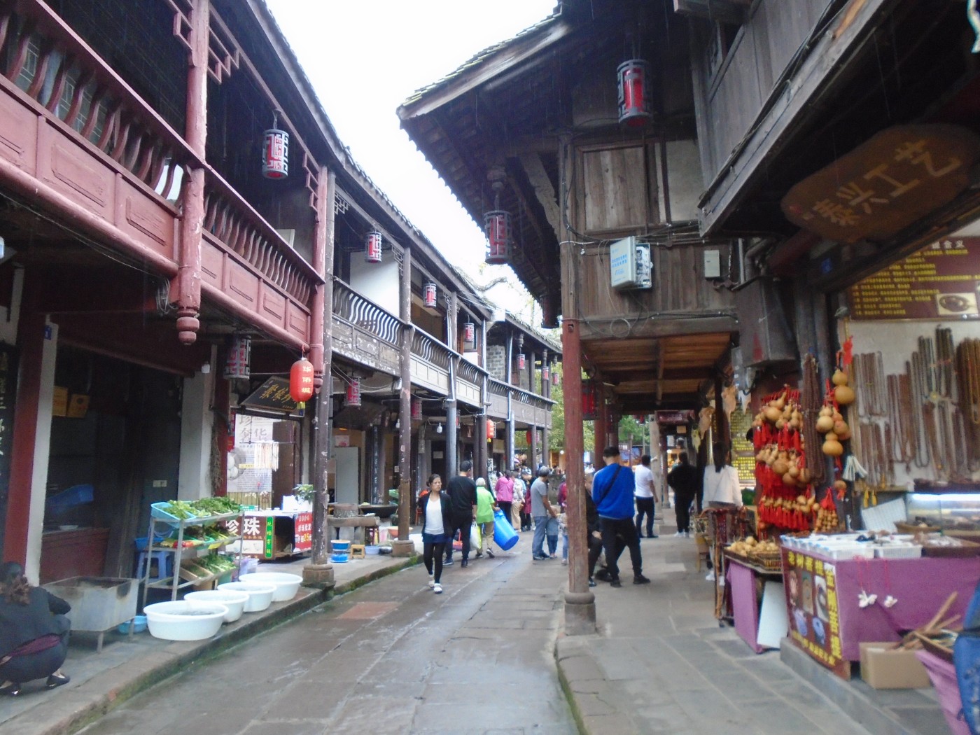 DSC06831.JPG