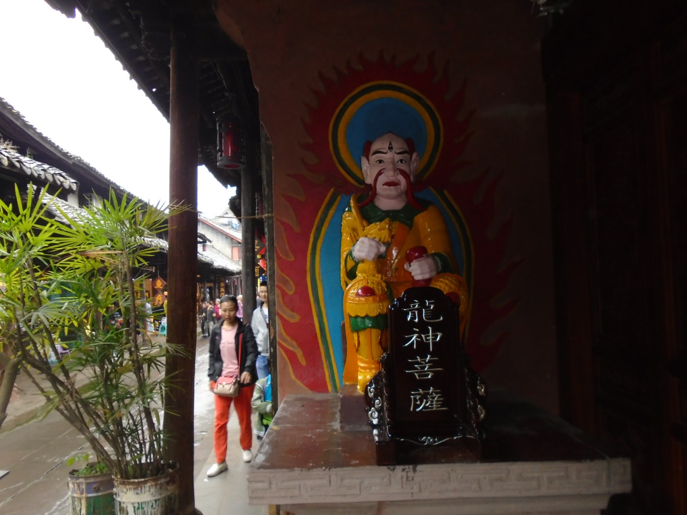 DSC06827.JPG