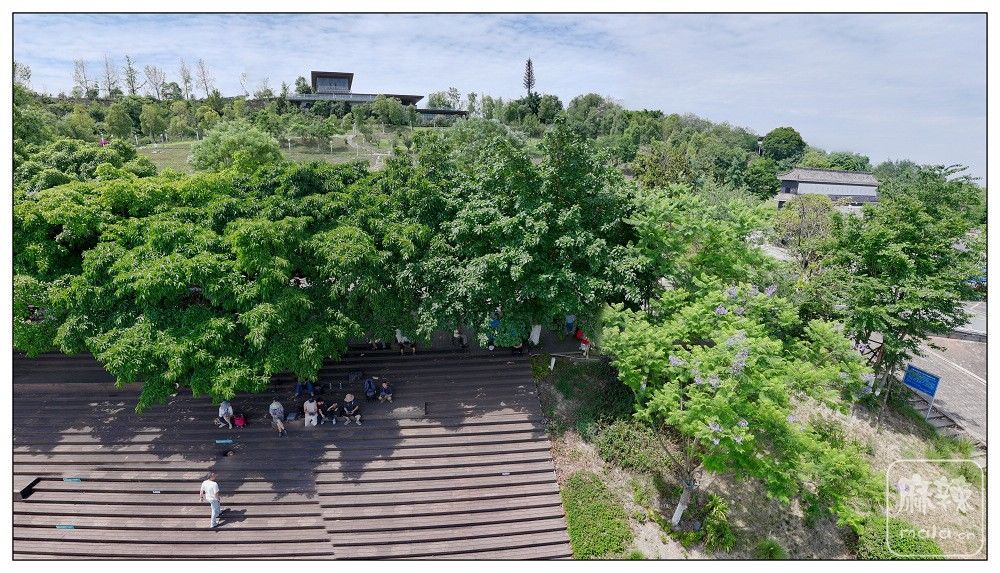 dji_export_20260601_203614_1780317374020_sphere_screenshot.jpg