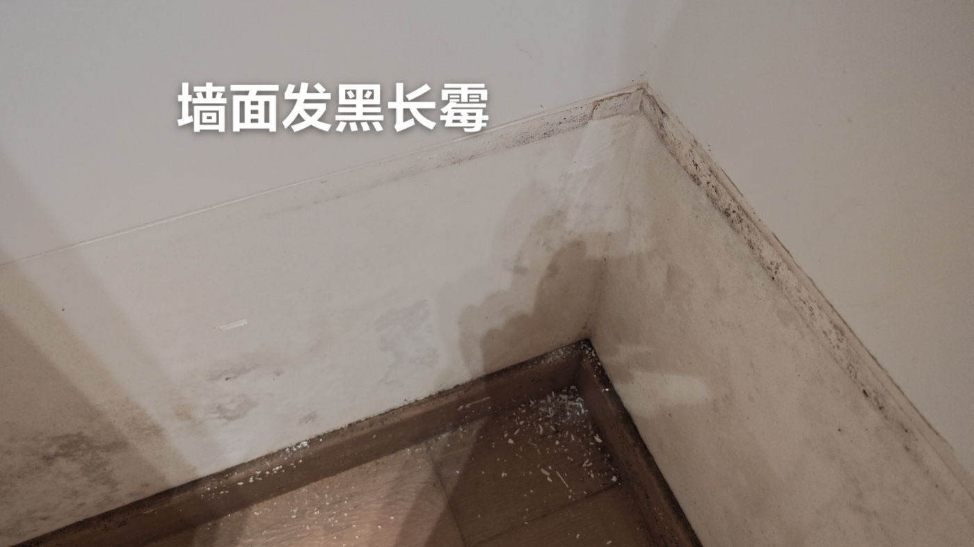ǽ�淢�ڷ�ù3.jpg