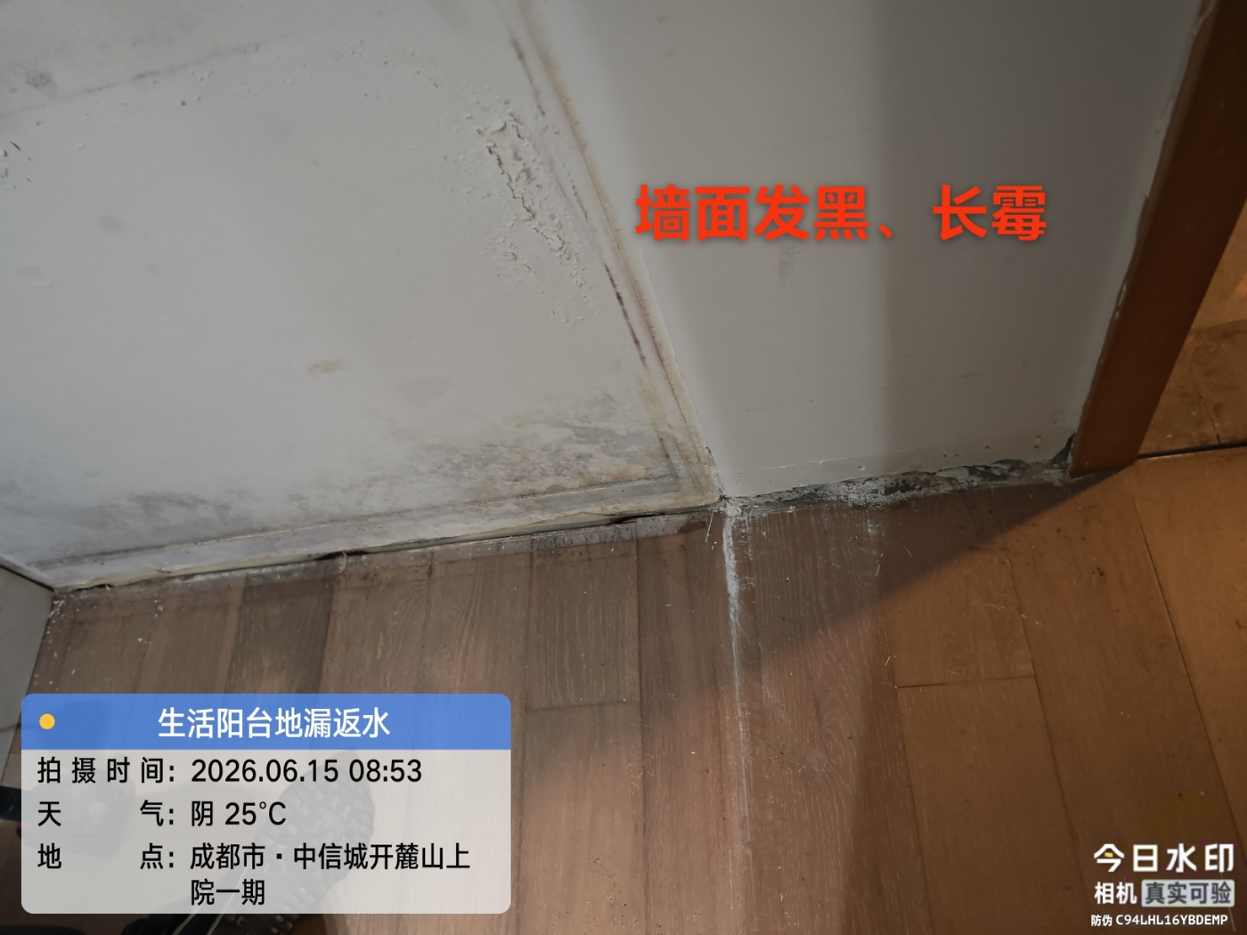 ǽ�淢ù2.jpg