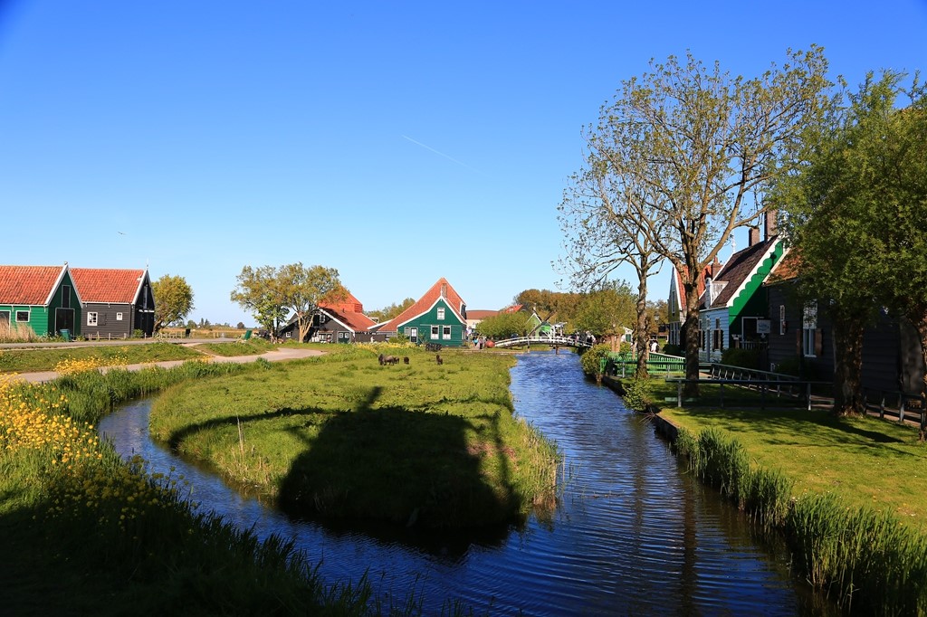 L_JY9007.JPG