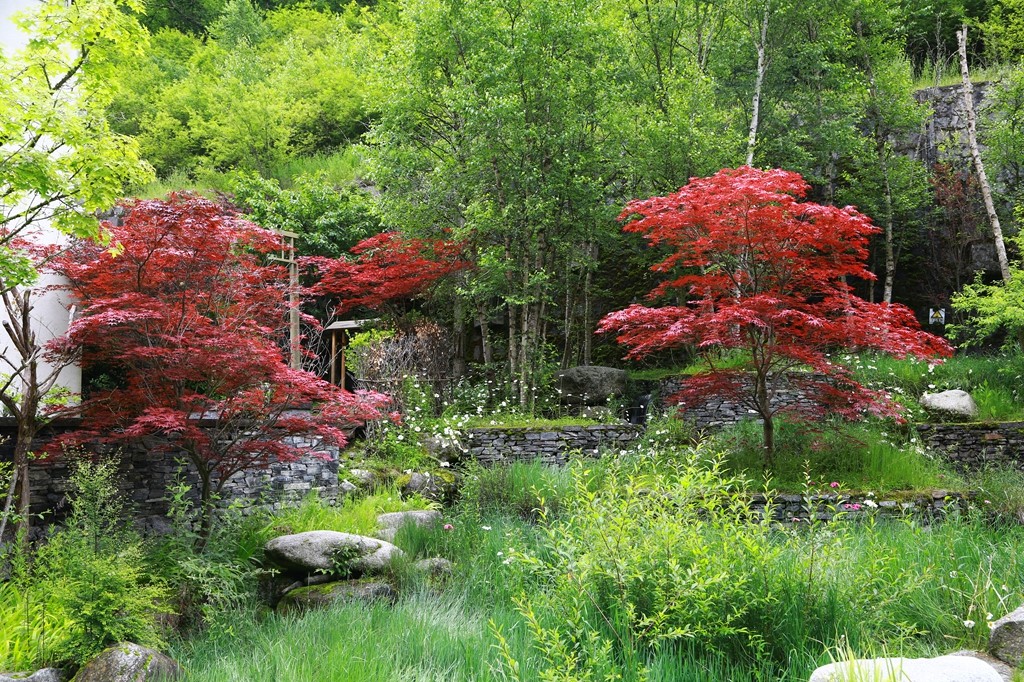 L_JY0558.JPG