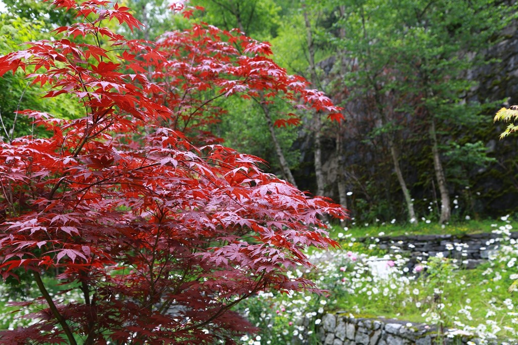 L_JY0580.JPG