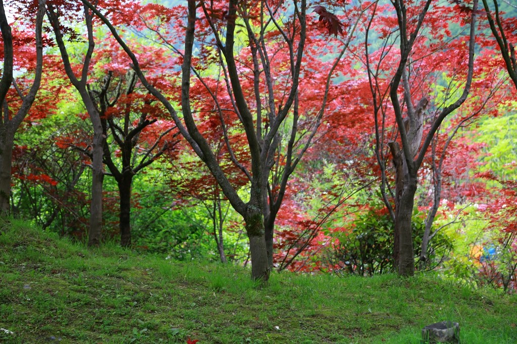 L_JY0643.JPG