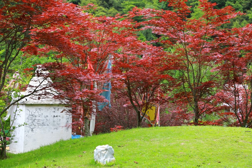 L_JY0673.JPG