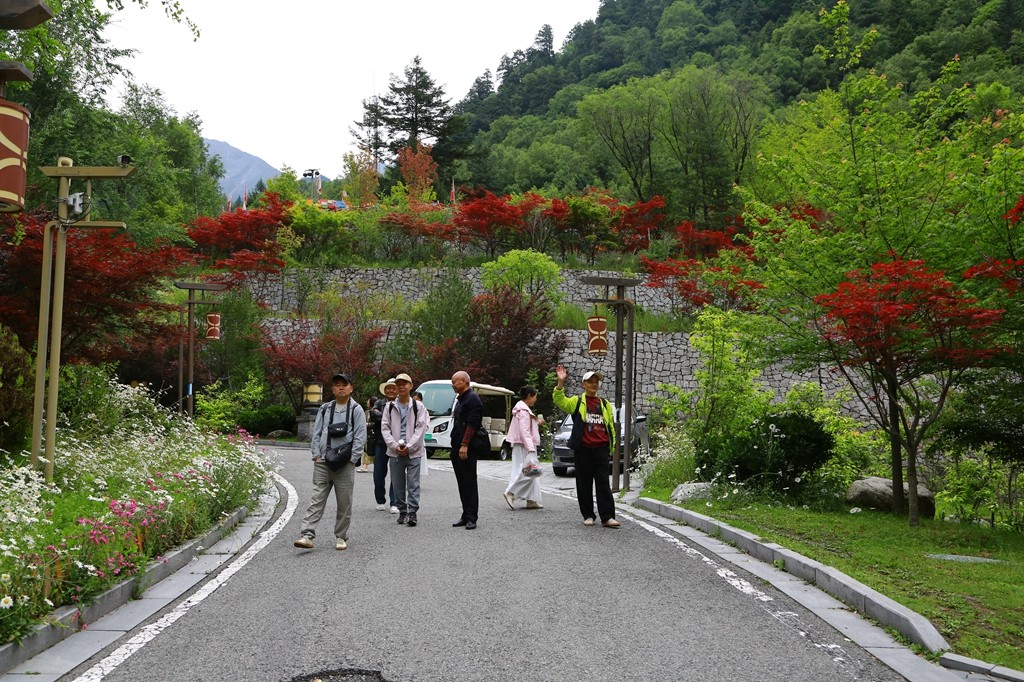 L_JY0695.JPG