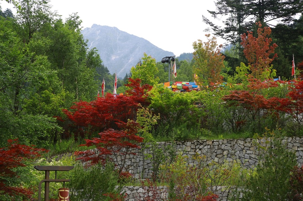 L_JY0703.JPG
