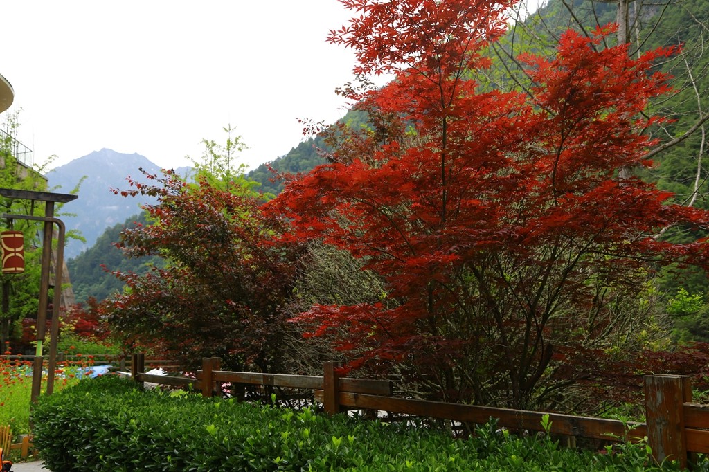 L_JY0704.JPG