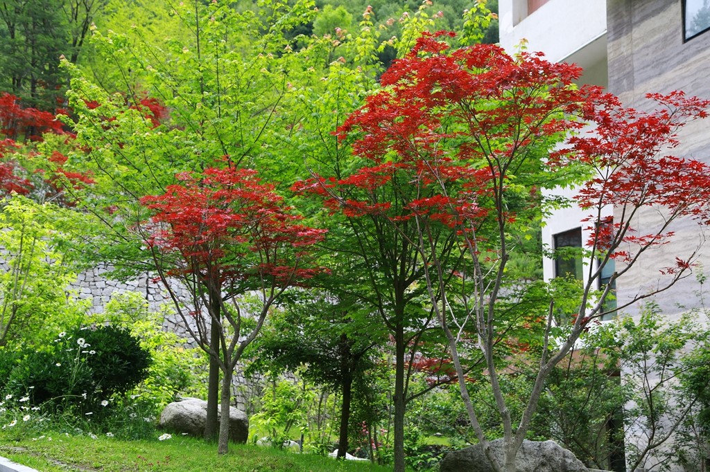 L_JY0698.JPG