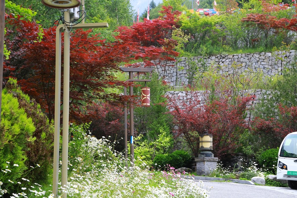 L_JY0700.JPG