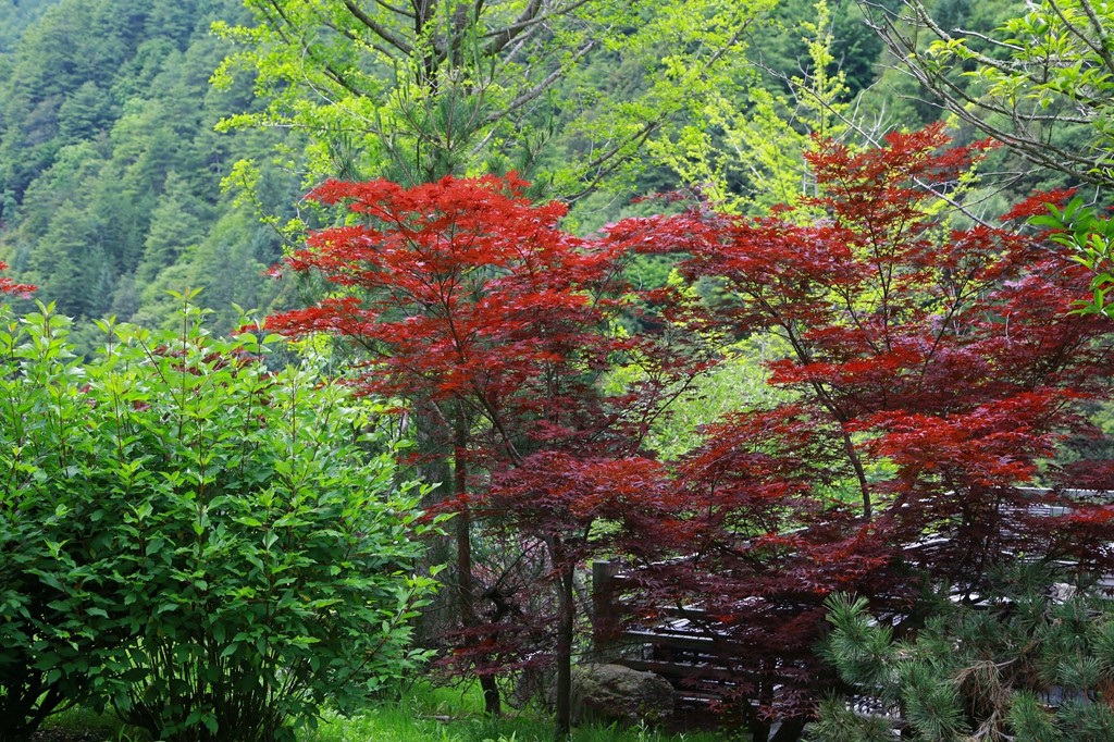 L_JY0708.JPG