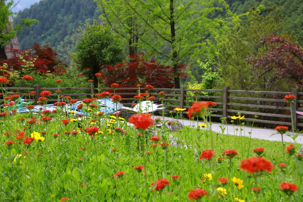 L_JY0705.JPG