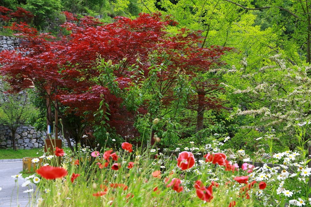 L_JY0717.JPG