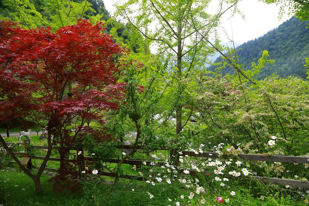 L_JY0718.JPG