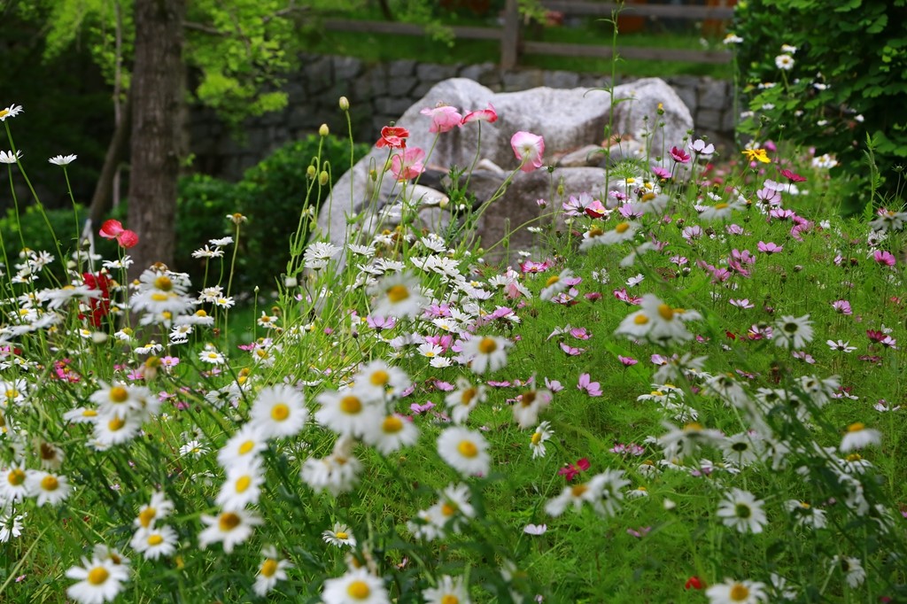 L_JY0720.JPG