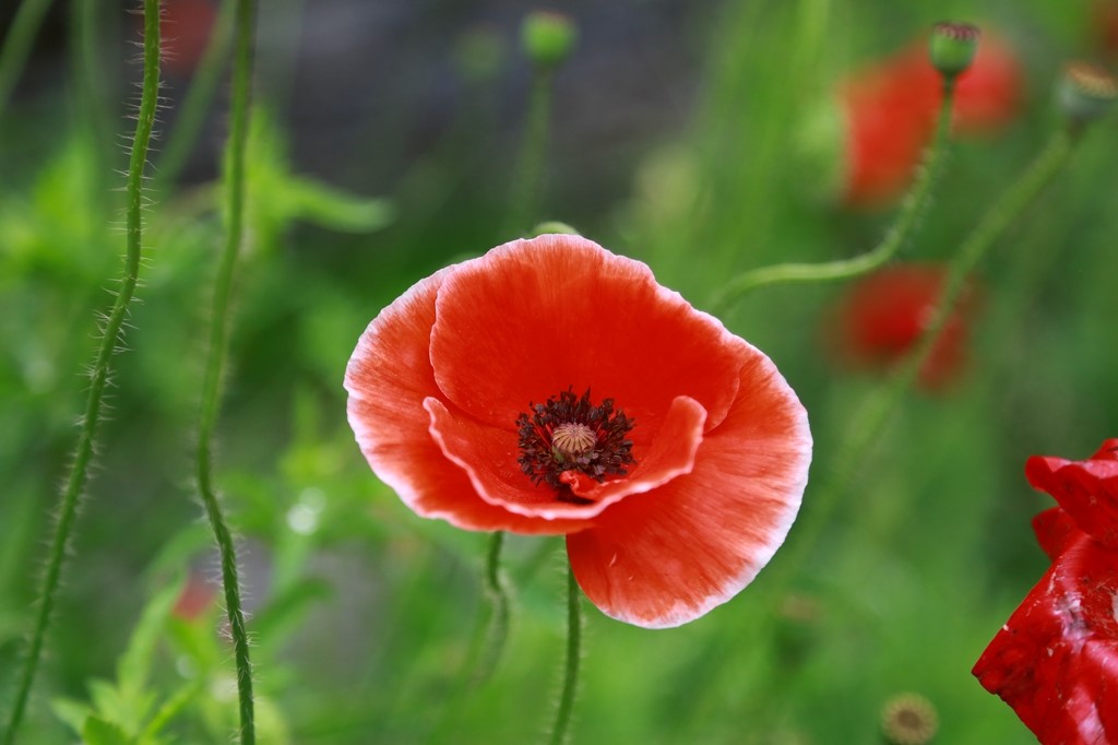 L_JY0749.JPG