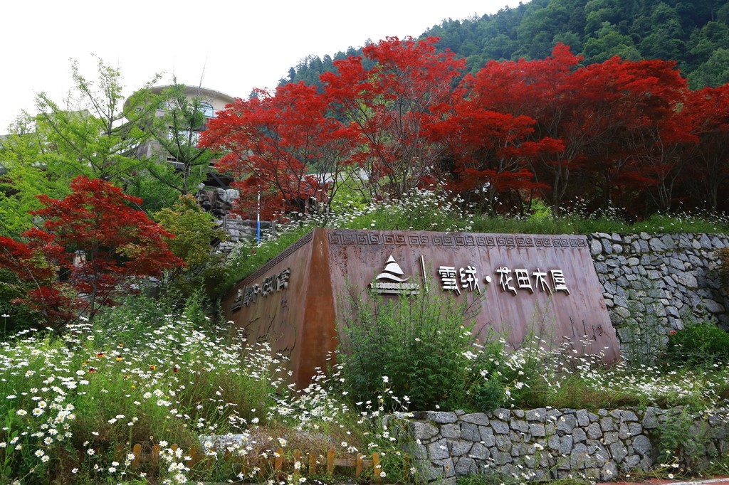 L_JY0764.JPG