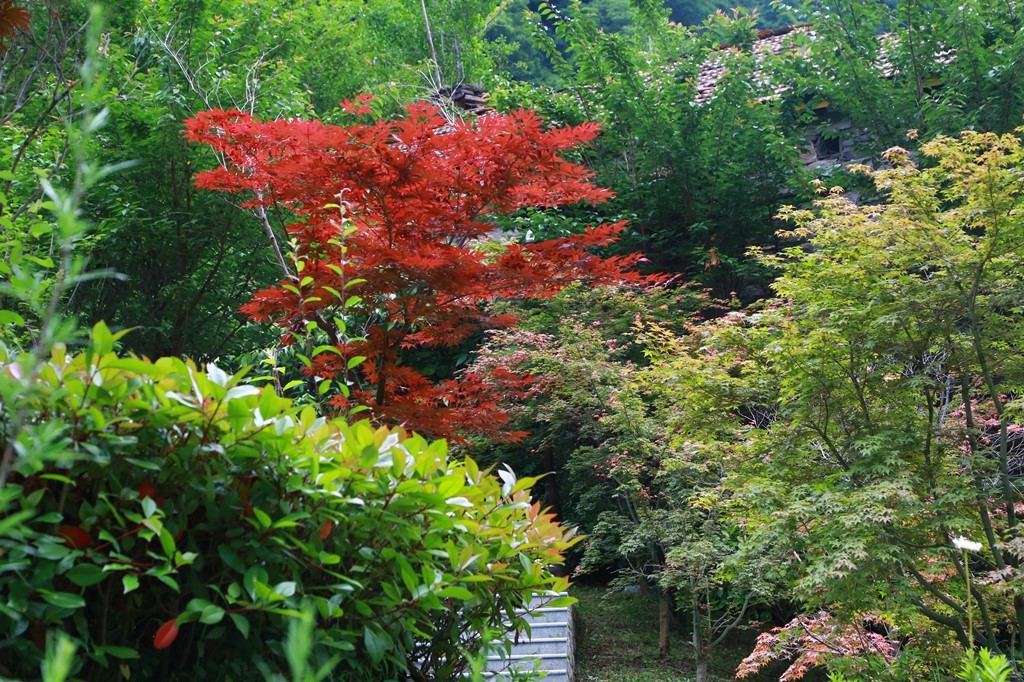 L_JY0770.JPG