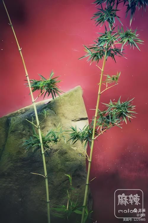 jpg