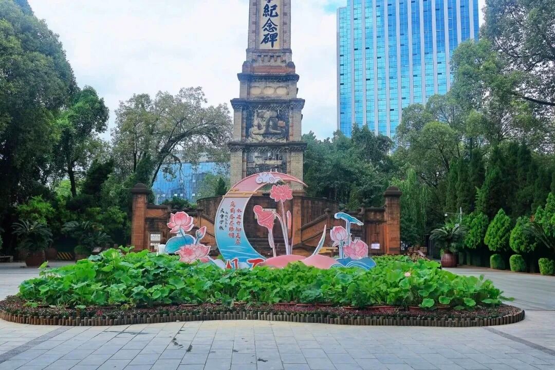 image_8.jpg