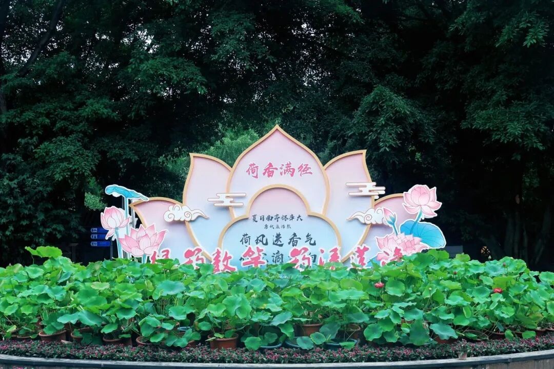 image_7.jpg