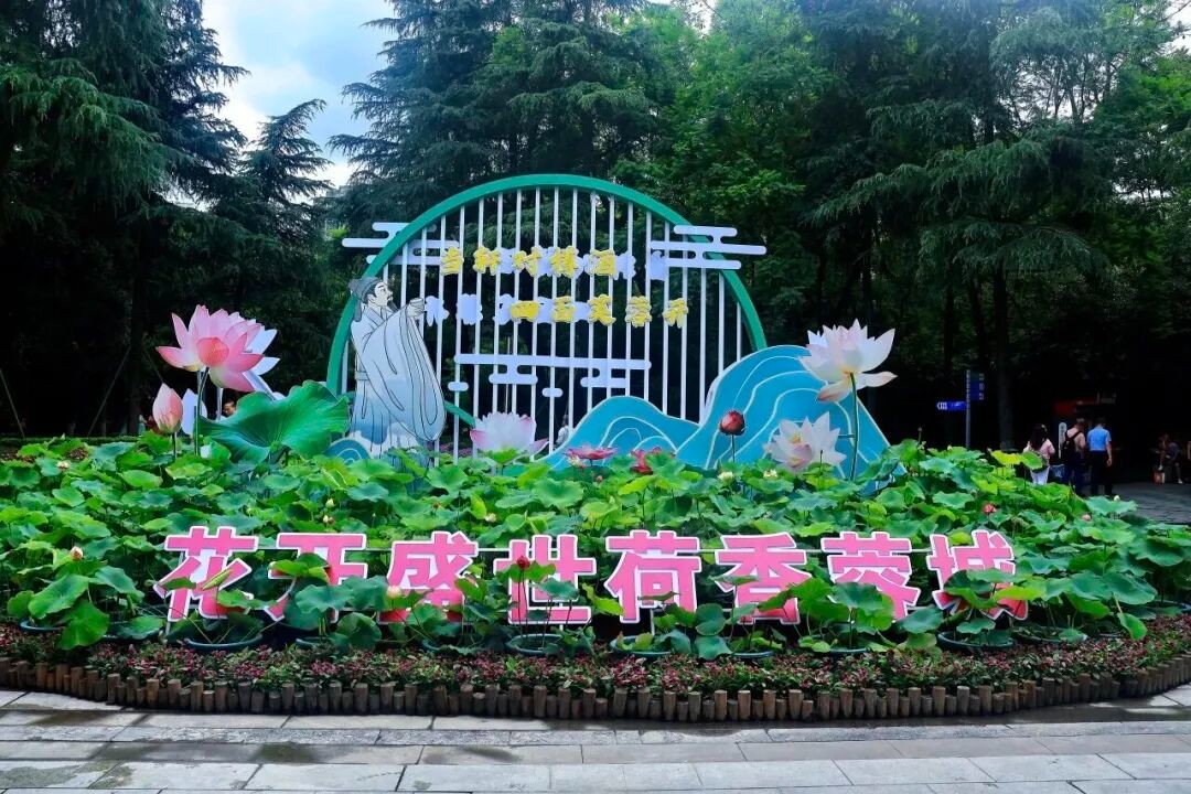 image_6.jpg