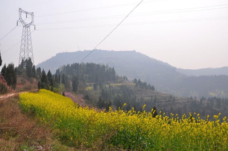 ���ɽկ 020_����.jpg