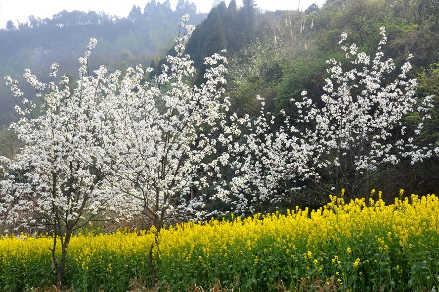 ���ɽկ 041_����.jpg