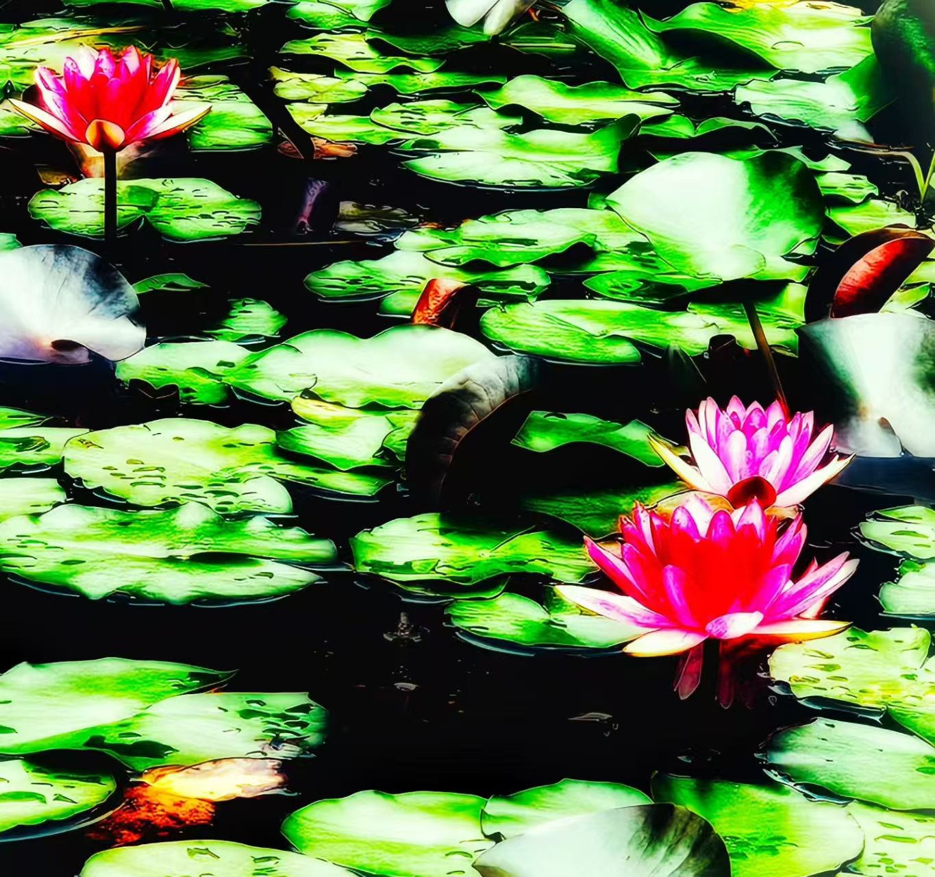 ΢��ͼƬ_20260709104052_363_317.jpg