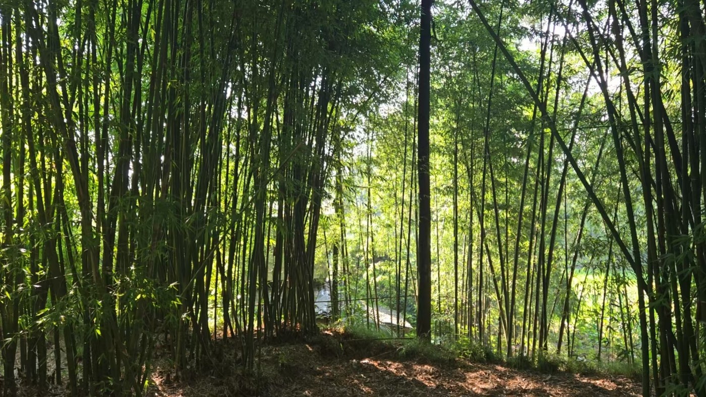 ΢��ͼƬ_20260709154015_3098_486.jpg
