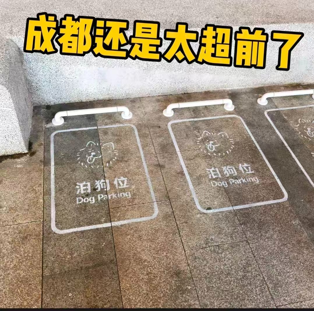 a9f41eccd031dd41658cb2d6de14f93b.jpg