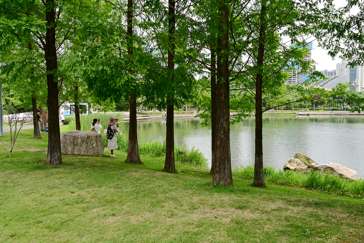 DSC_4065_����.jpg