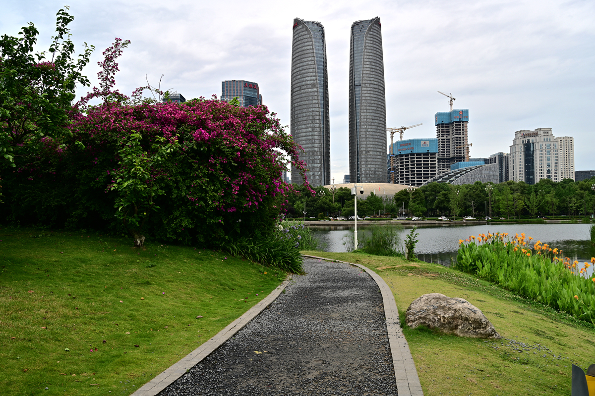 DSC_4075_����.jpg