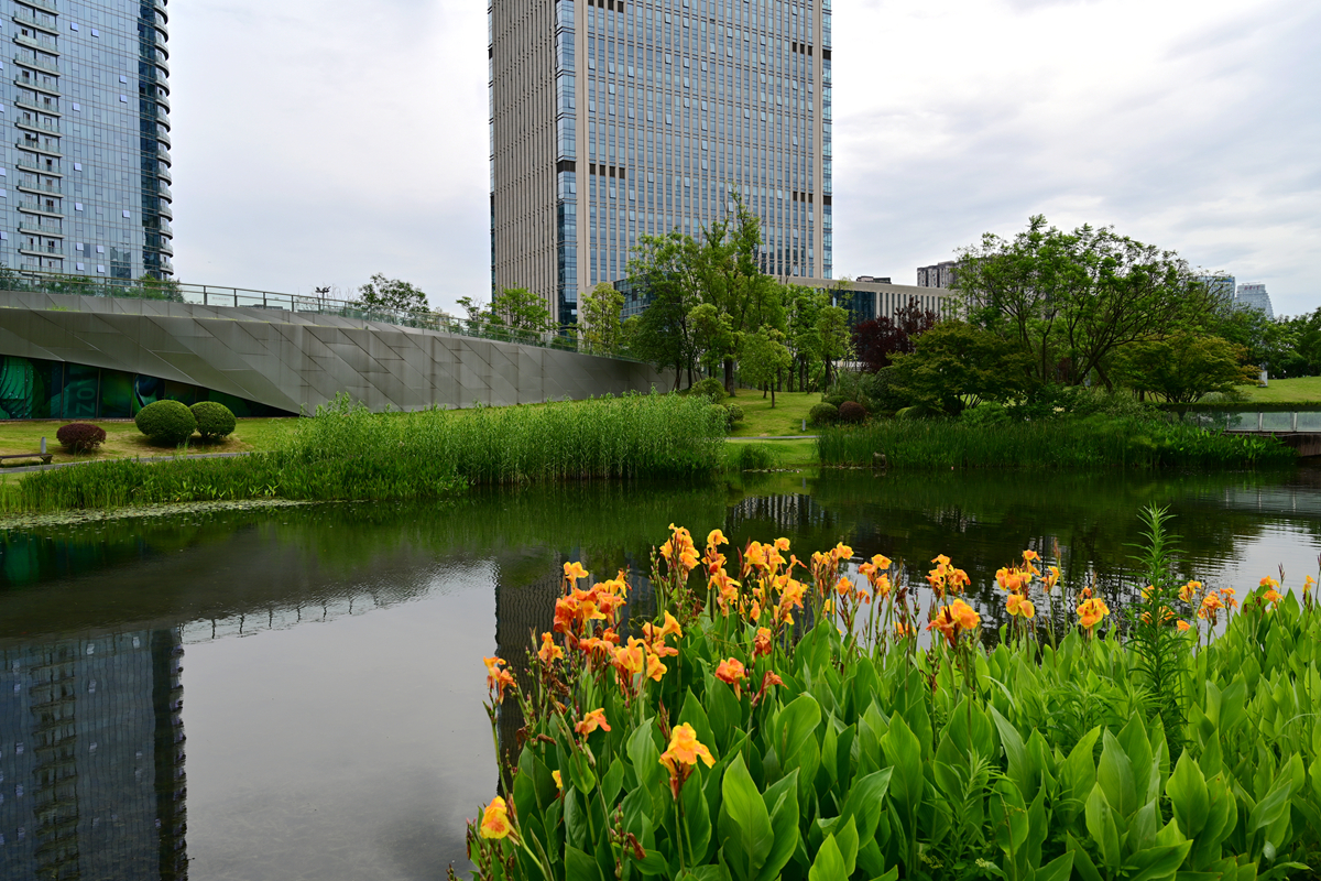 DSC_4076_����.jpg
